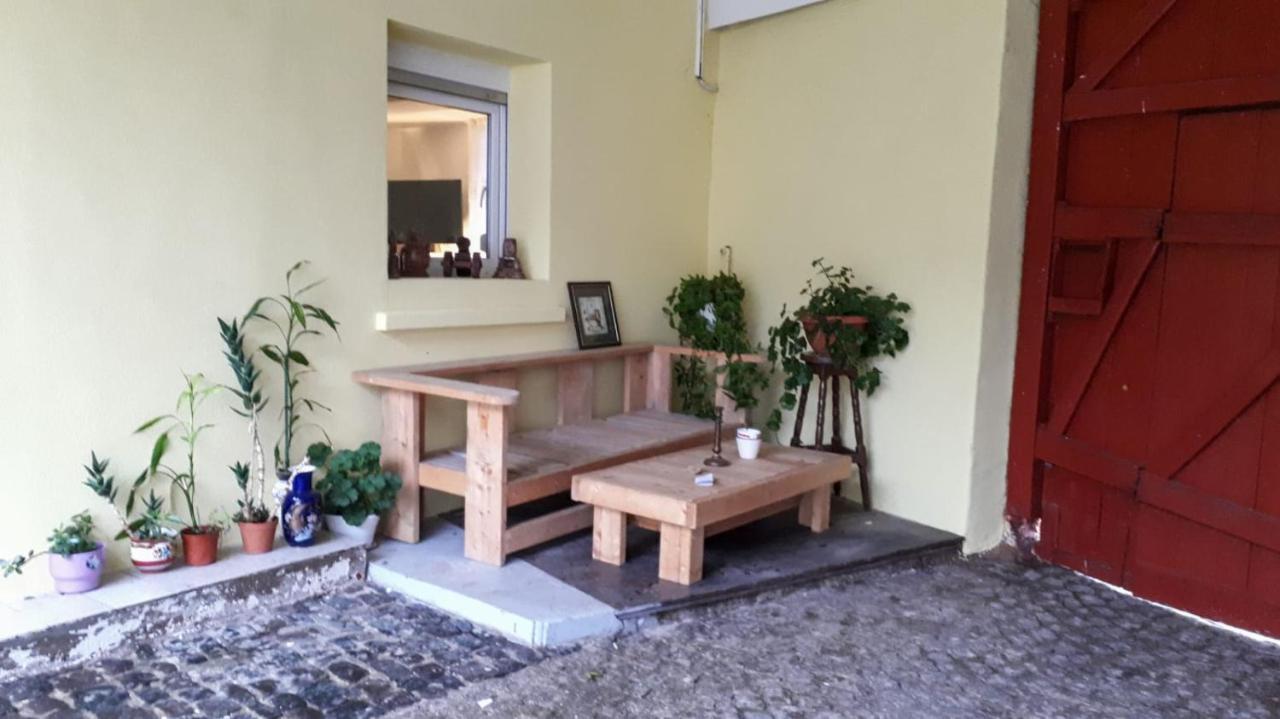 Ferienwohnung Chez Pinoche Gertwiller Exterior foto